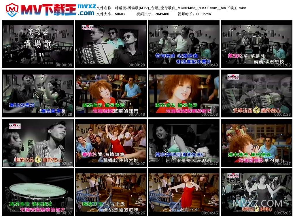 叶瑷菱-酒场歌(MTV)_台语_流行歌曲_MC501465